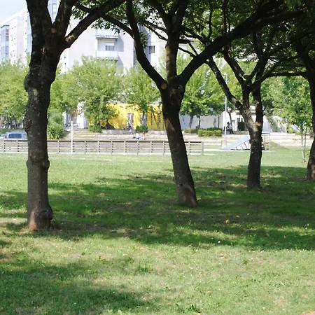 Roquino Caldas De Reis